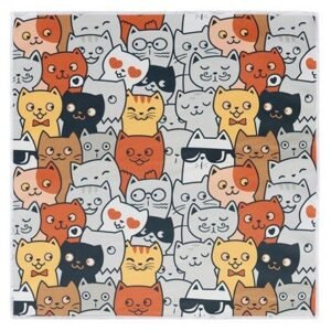 Cat Graduation Magic Cloth