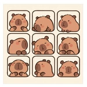 Kapibala Magic Cloth